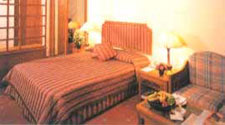 hotel janpath, hotels in delhi, janpath hotel, budget hotels in delhi, delhi hotels, four star hotels in delhi, online hotels and tours booking in delhi, images of hotel janpath, information about hotels in delhi, delhi tourist guide, cheaper hotels in delhi