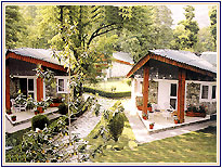 Span Resorts, Manali Hotels