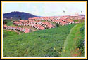 Hotel Lake View, Ooty Hotels