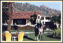 Hotel Sikarbadi, Udaipur Hotels