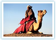 Rajasthan Culture Tour